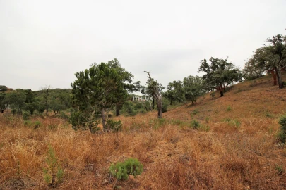 Quinta para Venda em São Francisco da Serra