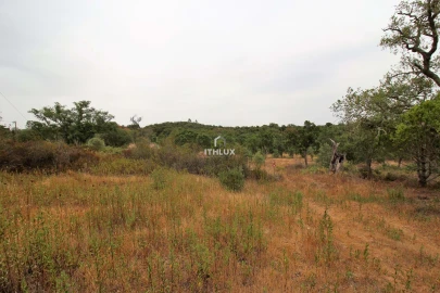Quinta para Venda em São Francisco da Serra
