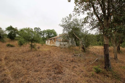 Quinta para Venda em São Francisco da Serra
