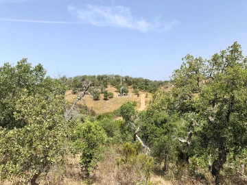 Quinta para Venda em São Francisco da Serra