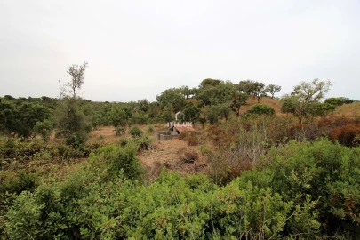 Quinta para Venda em São Francisco da Serra