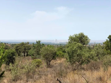 Quinta para Venda em São Francisco da Serra