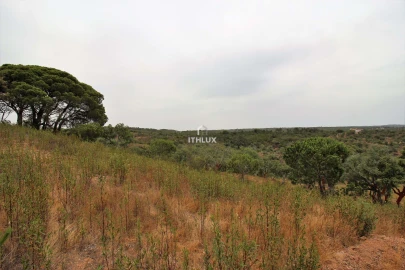 Quinta para Venda em São Francisco da Serra