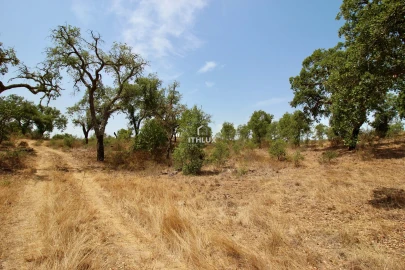 Quinta para Venda em São Francisco da Serra