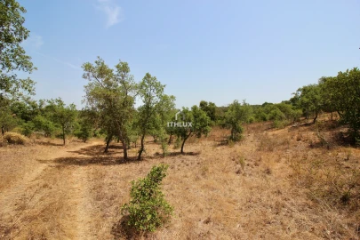 Quinta para Venda em São Francisco da Serra