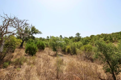 Quinta para Venda em São Francisco da Serra