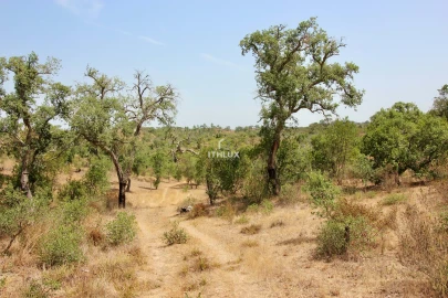 Quinta para Venda em São Francisco da Serra