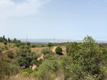 Quinta para Venda em São Francisco da Serra