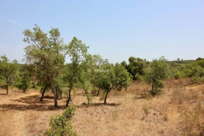 Quinta para Venda em São Francisco da Serra