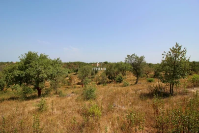 Quinta para Venda em São Francisco da Serra