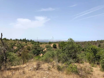 Quinta para Venda em São Francisco da Serra