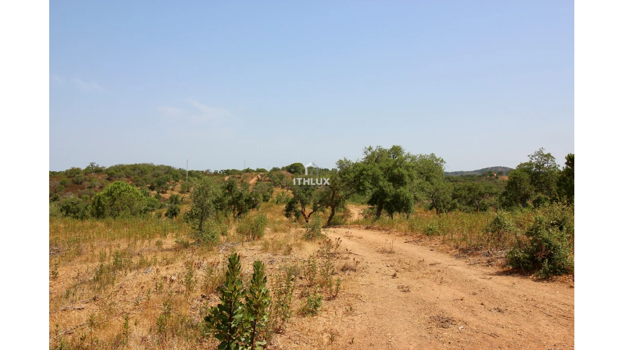 Quinta para Venda em São Francisco da Serra Foto 28