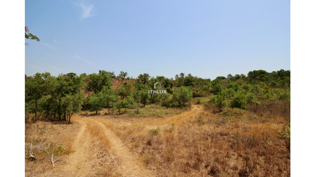 Quinta para Venda em São Francisco da Serra Foto 17