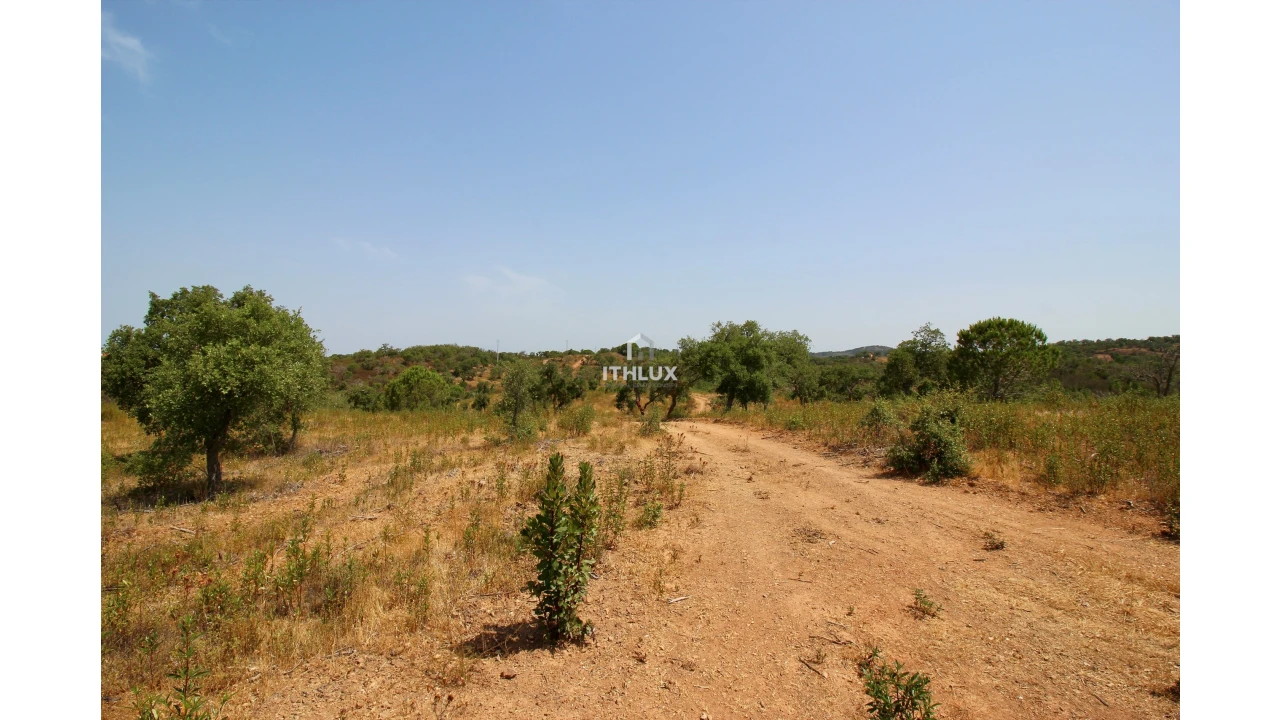 Quinta para Venda em São Francisco da Serra Foto 21