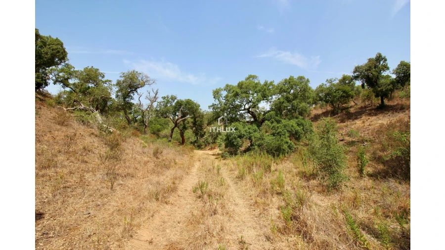 Quinta para Venda em São Francisco da Serra Foto 27