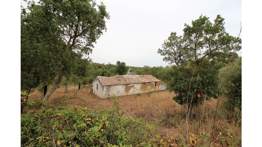 Quinta para Venda em São Francisco da Serra Foto 4