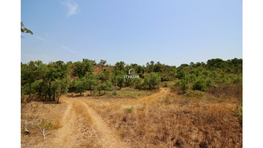 Quinta para Venda em São Francisco da Serra Foto 22