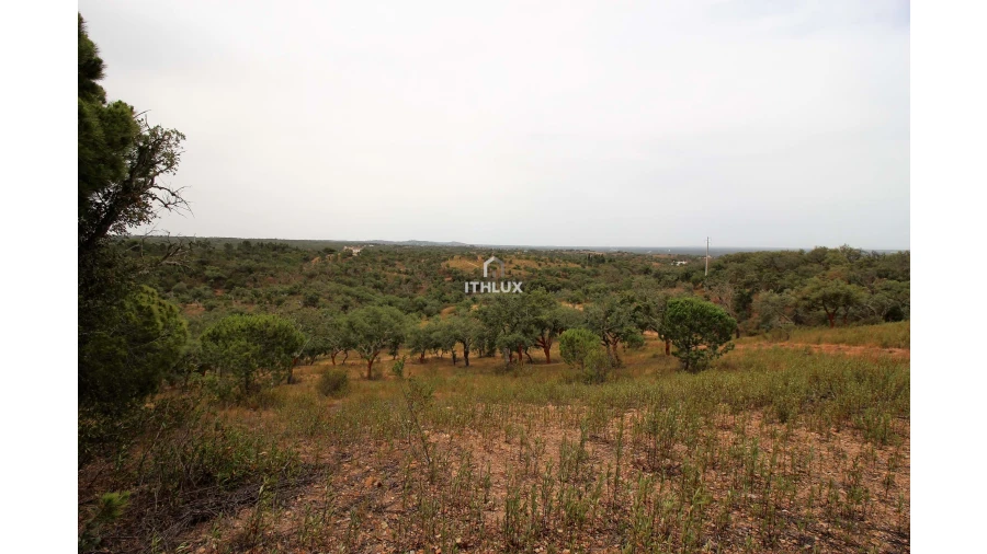 Quinta para Venda em São Francisco da Serra Foto 14