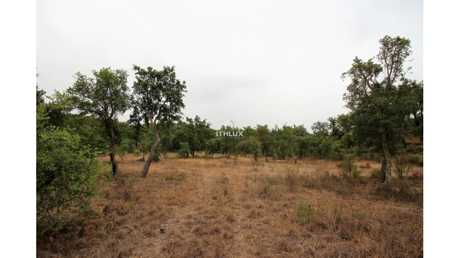 Quinta para Venda em São Francisco da Serra Foto 12
