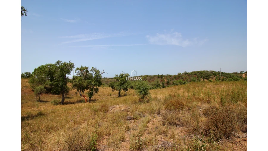 Quinta para Venda em São Francisco da Serra Foto 18