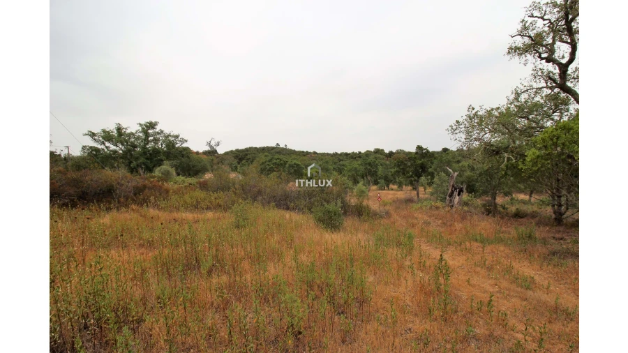 Quinta para Venda em São Francisco da Serra Foto 3