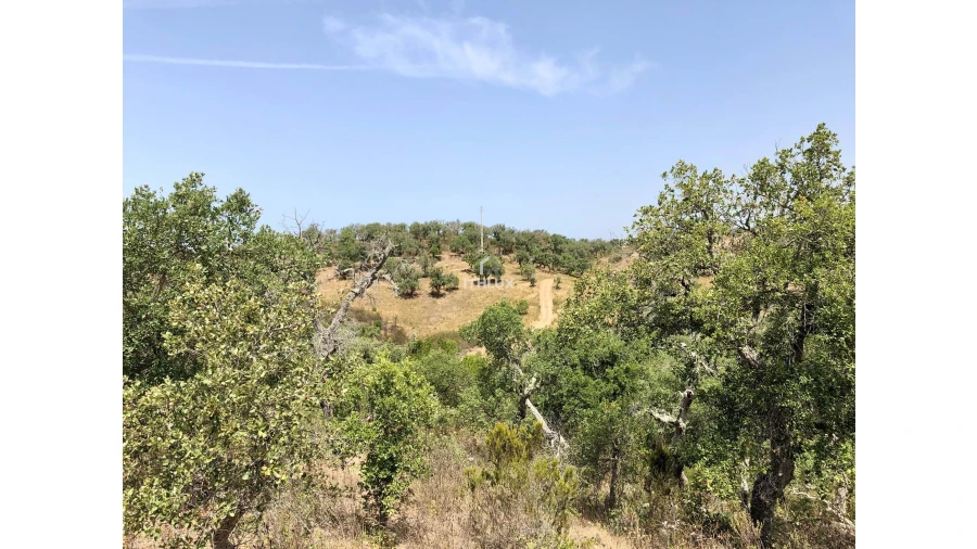 Quinta para Venda em São Francisco da Serra Foto 40
