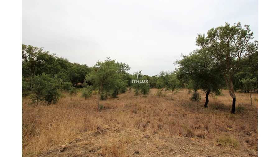 Quinta para Venda em São Francisco da Serra Foto 11