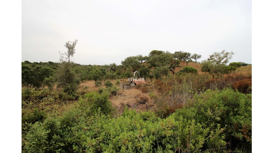 Quinta para Venda em São Francisco da Serra Foto 10