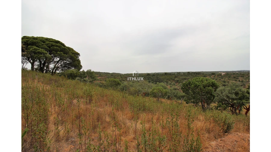 Quinta para Venda em São Francisco da Serra Foto 2