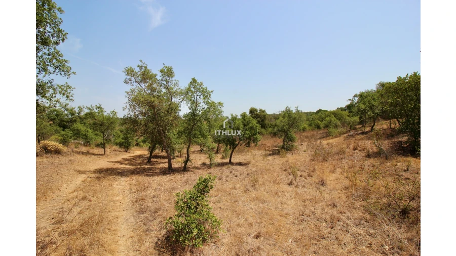 Quinta para Venda em São Francisco da Serra Foto 20