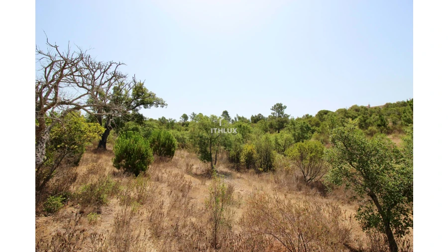 Quinta para Venda em São Francisco da Serra Foto 30