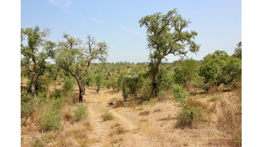 Quinta para Venda em São Francisco da Serra Foto 33