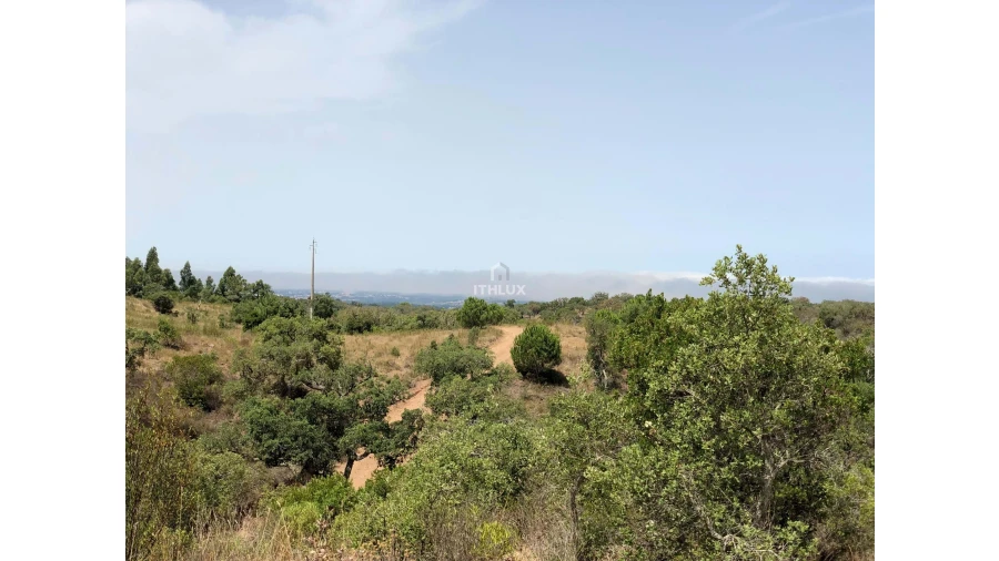 Quinta para Venda em São Francisco da Serra Foto 36