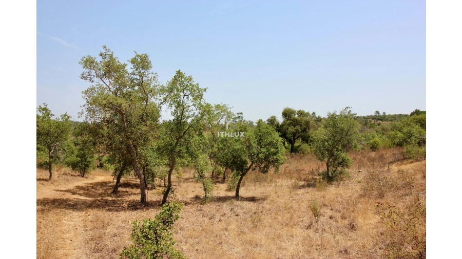 Quinta para Venda em São Francisco da Serra Foto 25