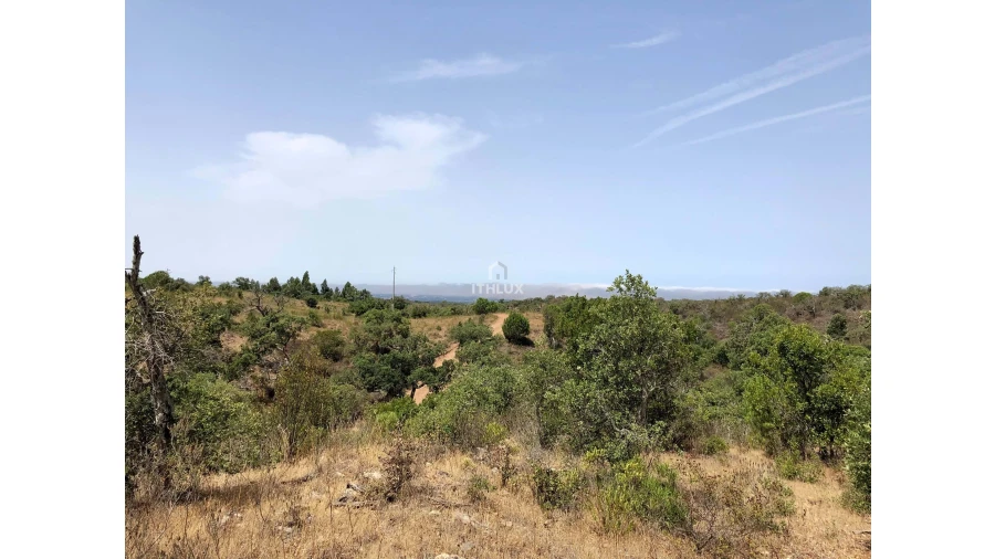 Quinta para Venda em São Francisco da Serra Foto 35
