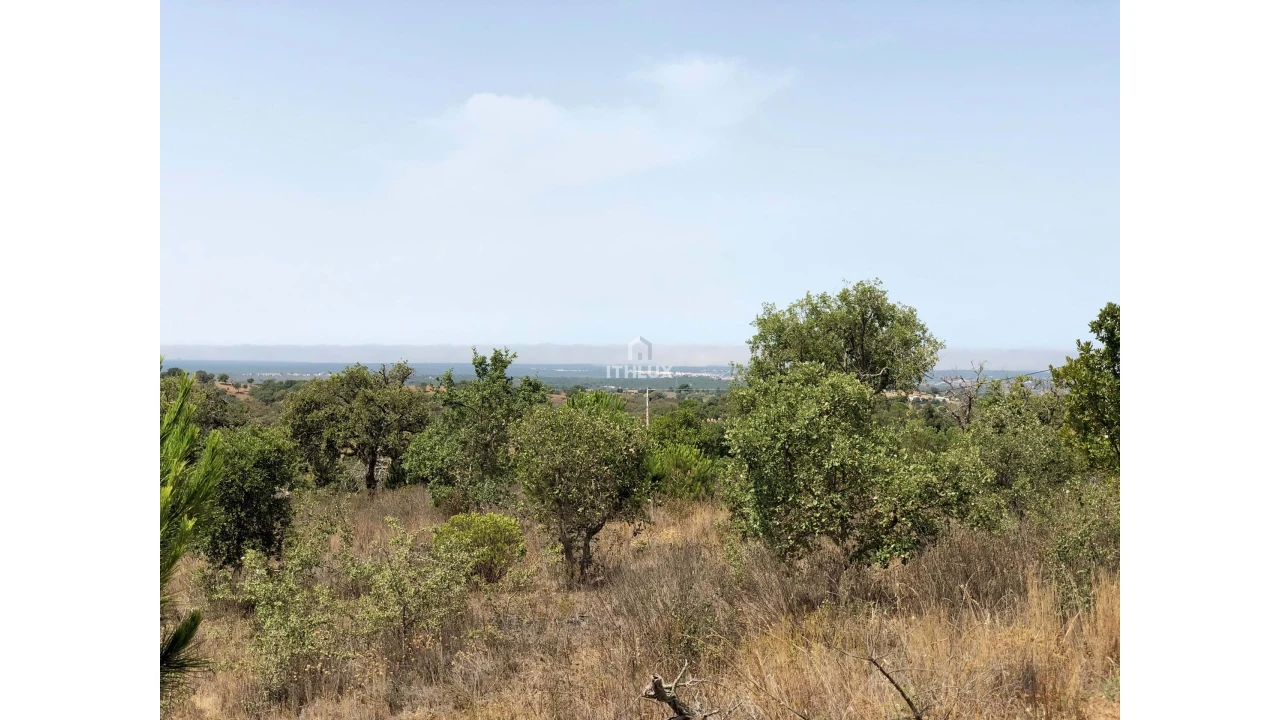 Quinta para Venda em São Francisco da Serra Foto 37