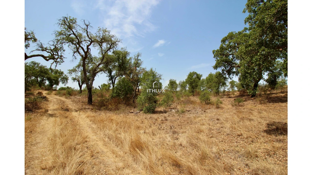 Quinta para Venda em São Francisco da Serra Foto 31