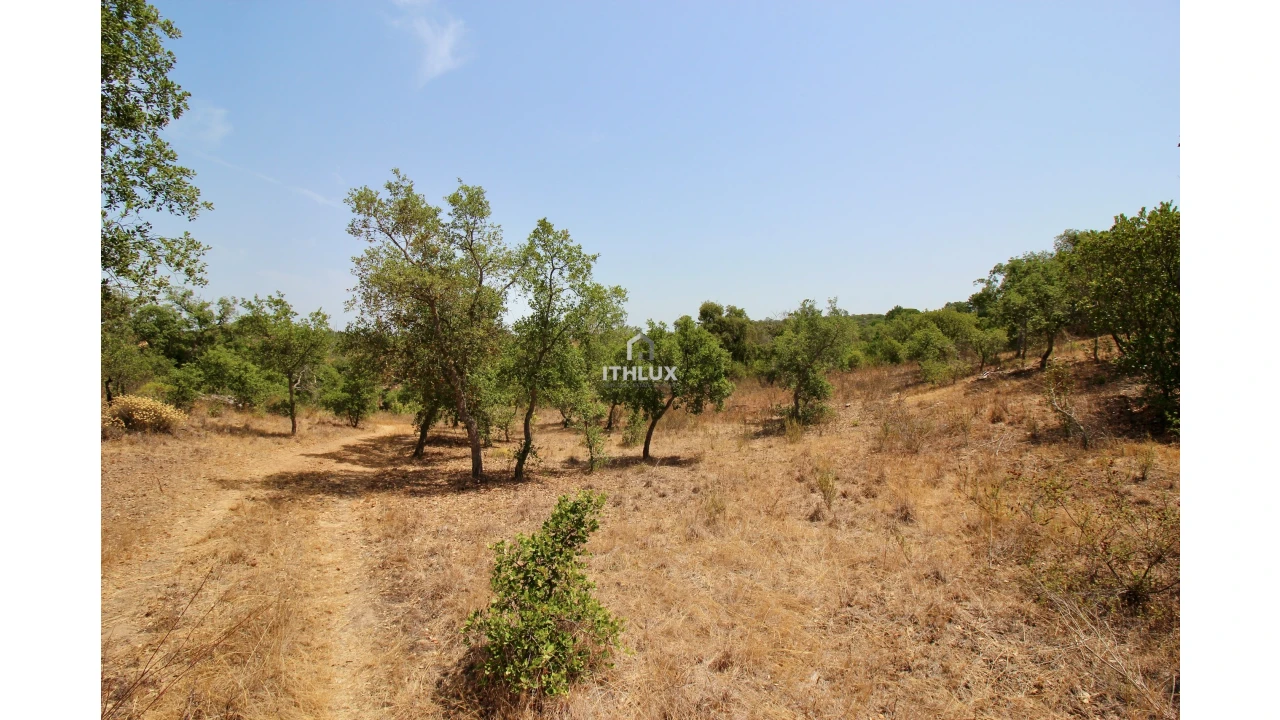 Quinta para Venda em São Francisco da Serra Foto 20