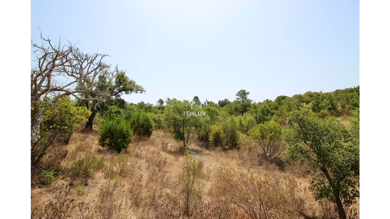 Quinta para Venda em São Francisco da Serra Foto 30