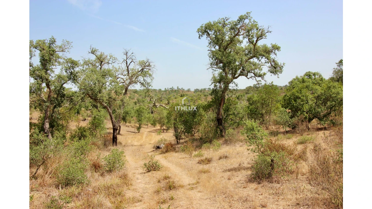 Quinta para Venda em São Francisco da Serra Foto 33