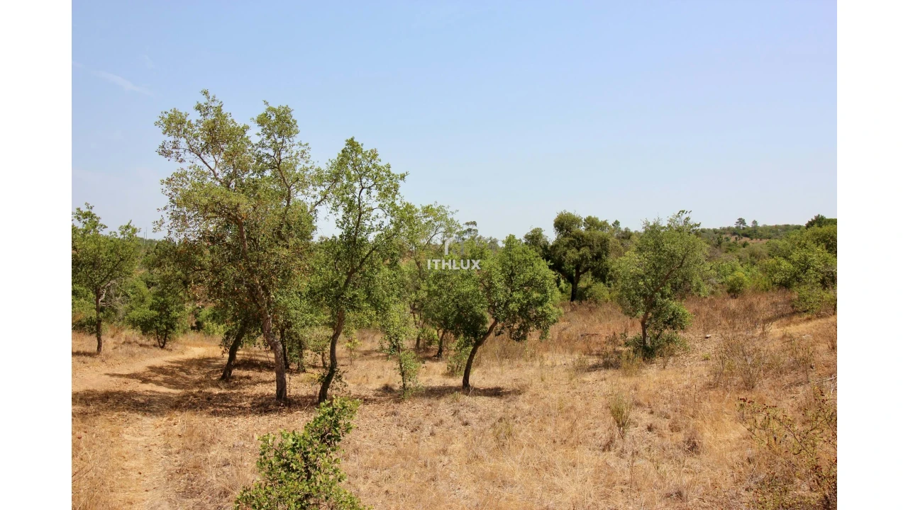 Quinta para Venda em São Francisco da Serra Foto 25