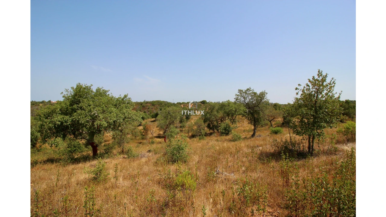 Quinta para Venda em São Francisco da Serra Foto 24