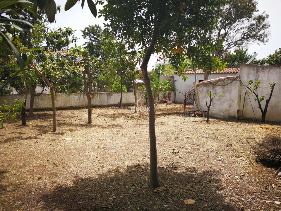 Moradia T5 para Venda em Tavira (Santa Maria e Santiago) Foto 5