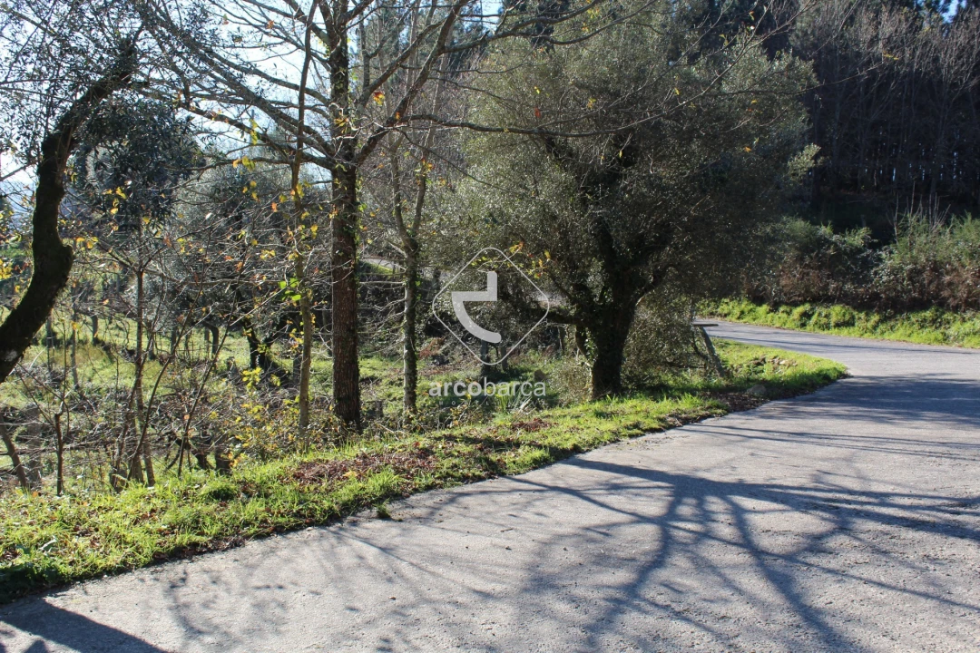 Terreno para Venda em Bárrio e Cepões Foto 32
