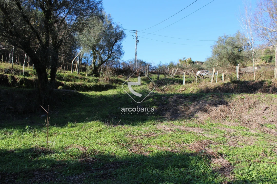 Terreno para Venda em Bárrio e Cepões Foto 28
