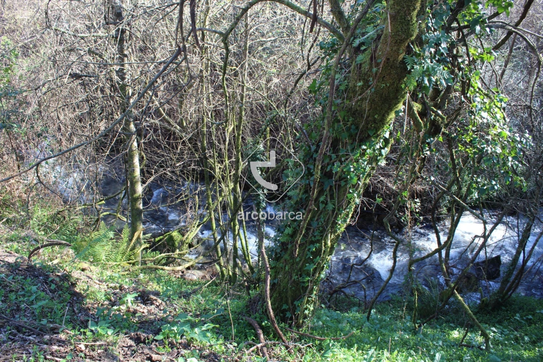 Terreno para Venda em Bárrio e Cepões Foto 24