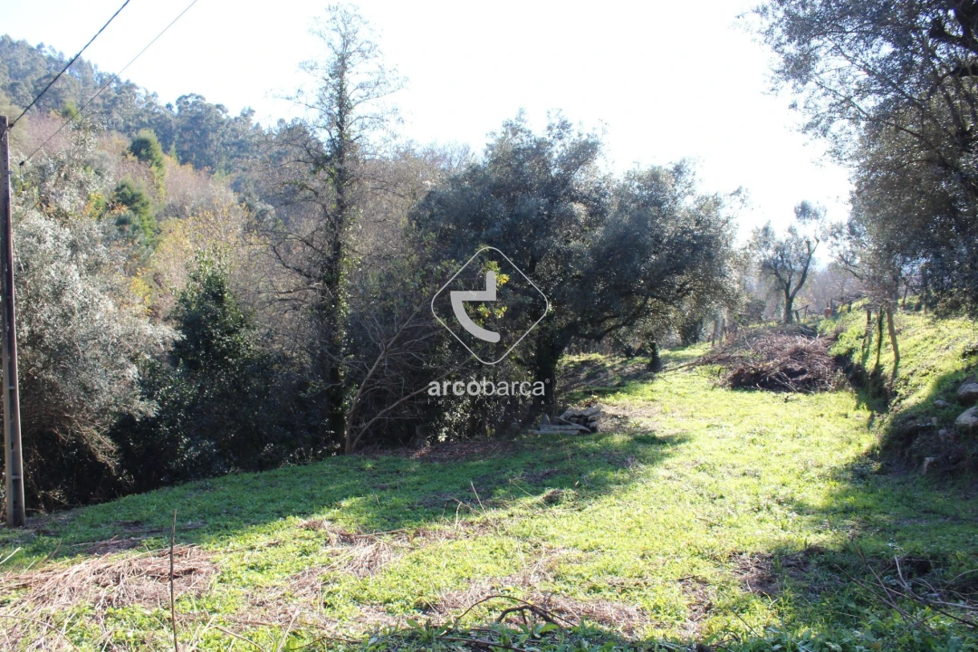 Terreno para Venda em Bárrio e Cepões Foto 18