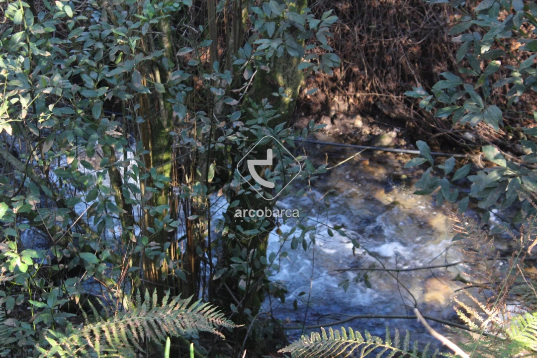 Terreno para Venda em Bárrio e Cepões Foto 12