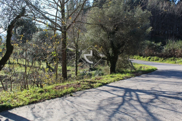 Terreno para Venda em Bárrio e Cepões Foto 32