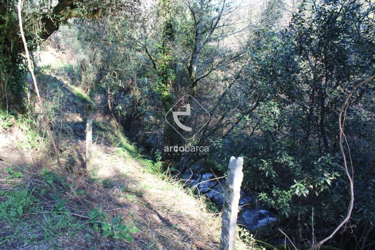 Terreno para Venda em Bárrio e Cepões Foto 9